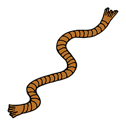 Seil