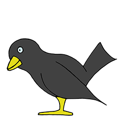 Vogel