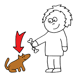 Hund