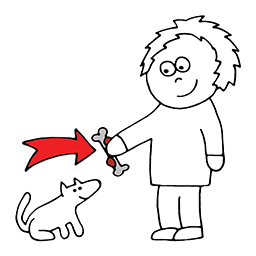 Hundeknochen