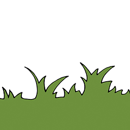 Gras