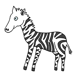 Zebra