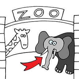Elefant