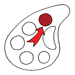 Rot