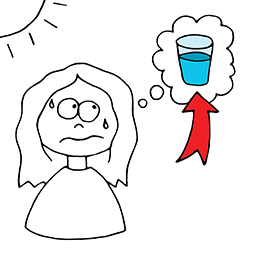 Wasser