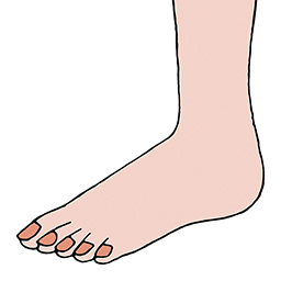 Fuß
