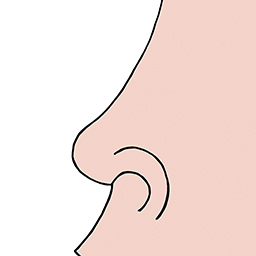 Nase