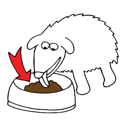 Hundefutter