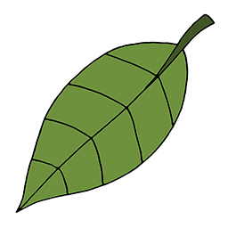 Blatt