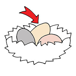Eier