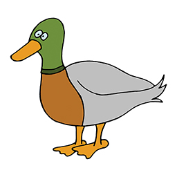 Ente
