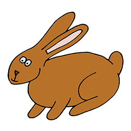 Hase