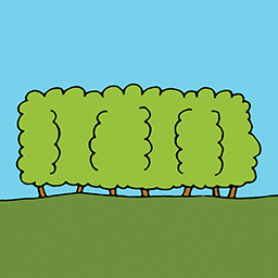 Hecke