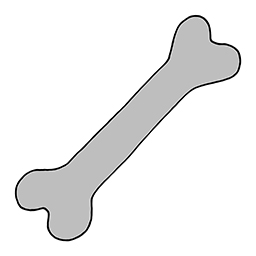 Knochen