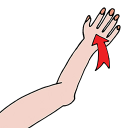 Hand