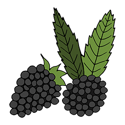 Brombeeren