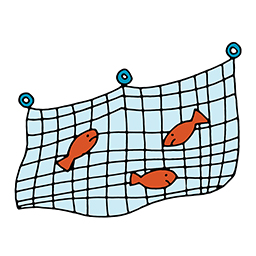 Netz