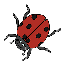 Marienkäfer
