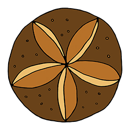 Vollkornbrötchen