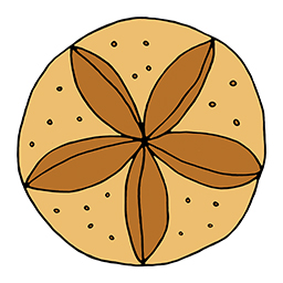 Brötchen