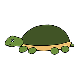 Schildkröte