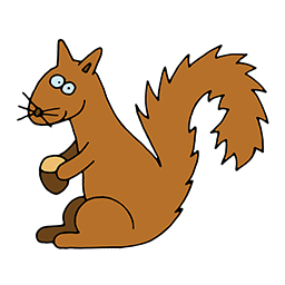 Eichhörnchen