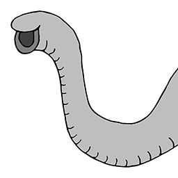Rüssel
