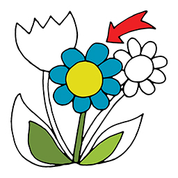 Blume