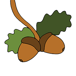 Eicheln