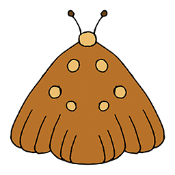 Motte