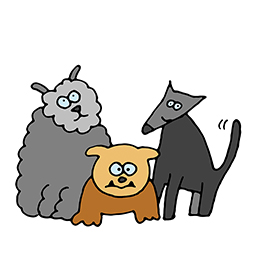 Hunde