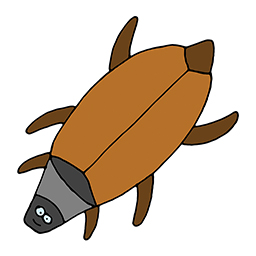 Maikäfer