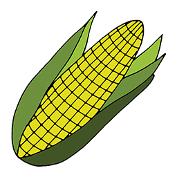Maiskolben