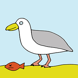 Möwe