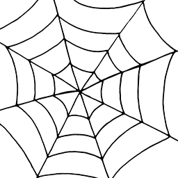 Spinnennetz