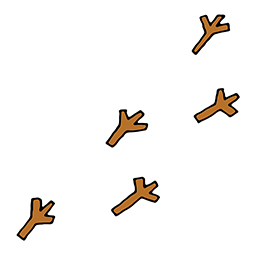 Vogelspuren