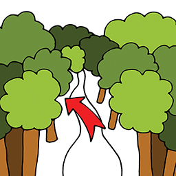 Wald