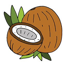 Kokosnuss