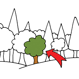 Baum