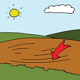 Feld