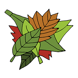 Laub