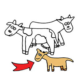 Kalb