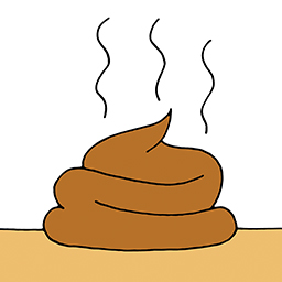 Kot
