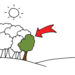 Baum