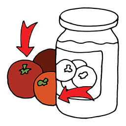 Tomaten