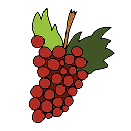 Weinrebe