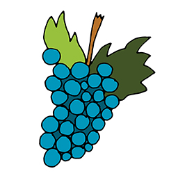 Weinrebe