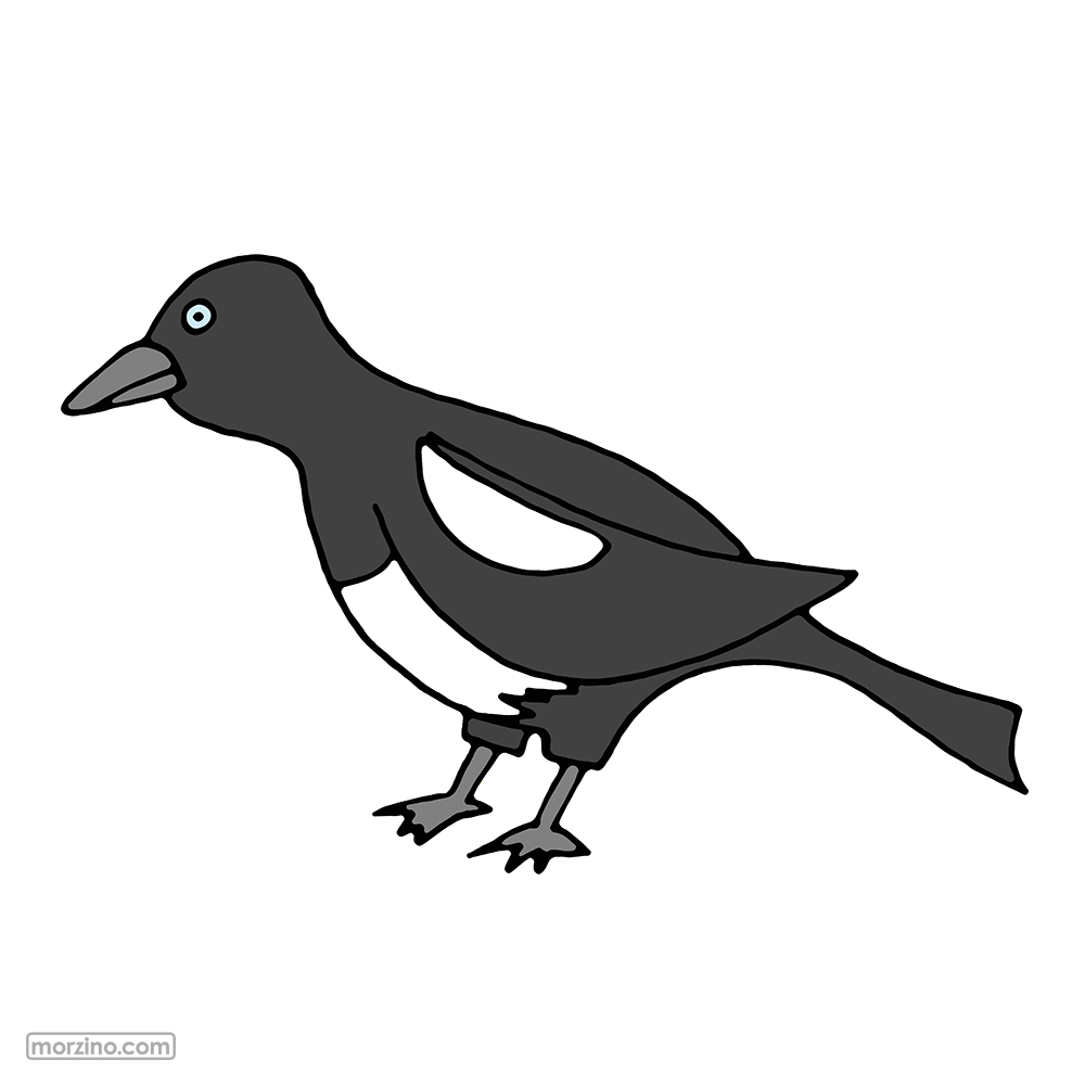 Bildwörterbuch: Elster