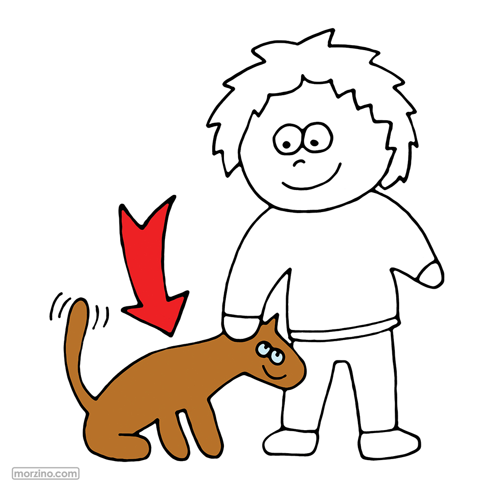 Bildwörterbuch: Hund