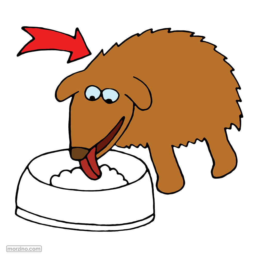 Bildwörterbuch: Hund